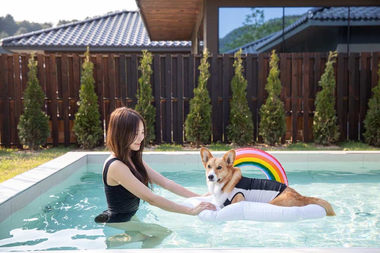 스테이펫 홍천 이미지 1